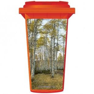 Birch Trees in A Forest Wheelie Bin Sticker Panel